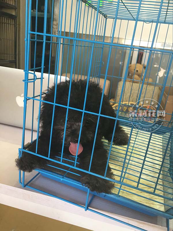 QQ图片20160418082028.jpg