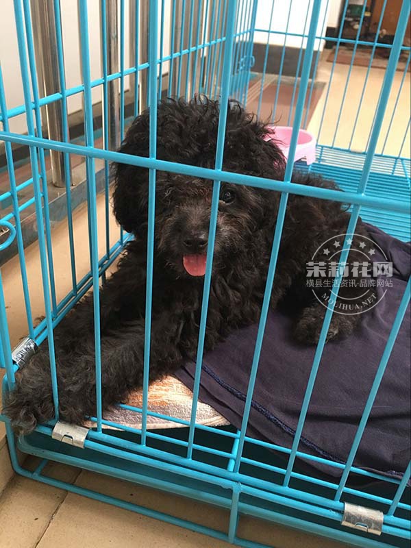 QQ图片20160418082036.jpg