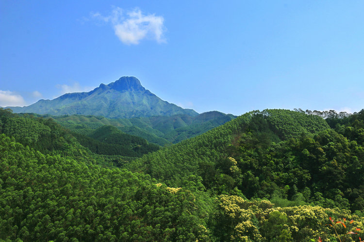 IMG_7200_副本.JPG