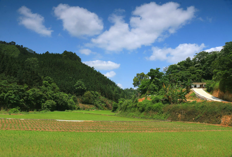 IMG_7277_副本.JPG