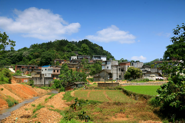 IMG_7296_副本.JPG