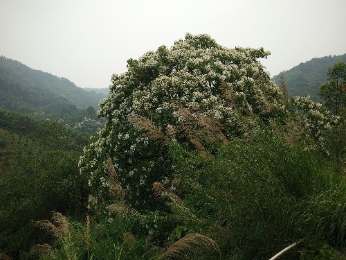 IMG20160417133638.jpg