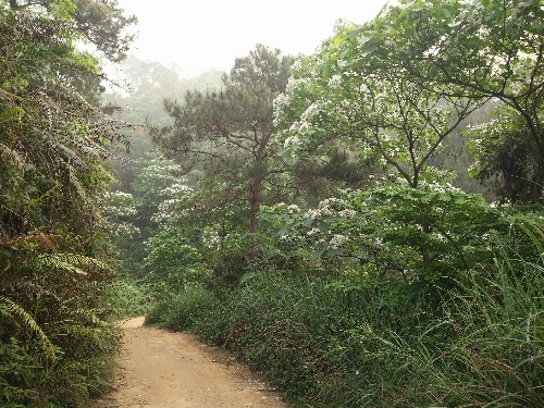 IMG20160415075929.jpg
