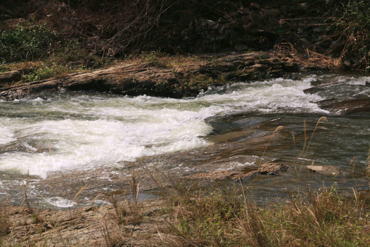 IMG_6734.JPG