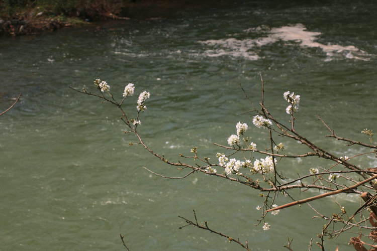 IMG_6746.JPG