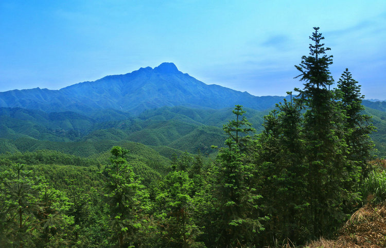 IMG_8909_副本.jpg