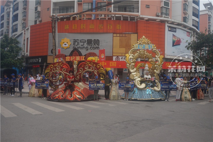 DSC09246.jpg