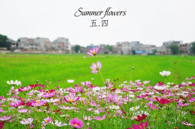 调整大小 1.jpg