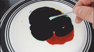 null-5abe5115503d8bd5.gif