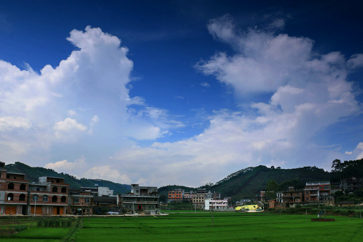 IMG_4943_副本.JPG