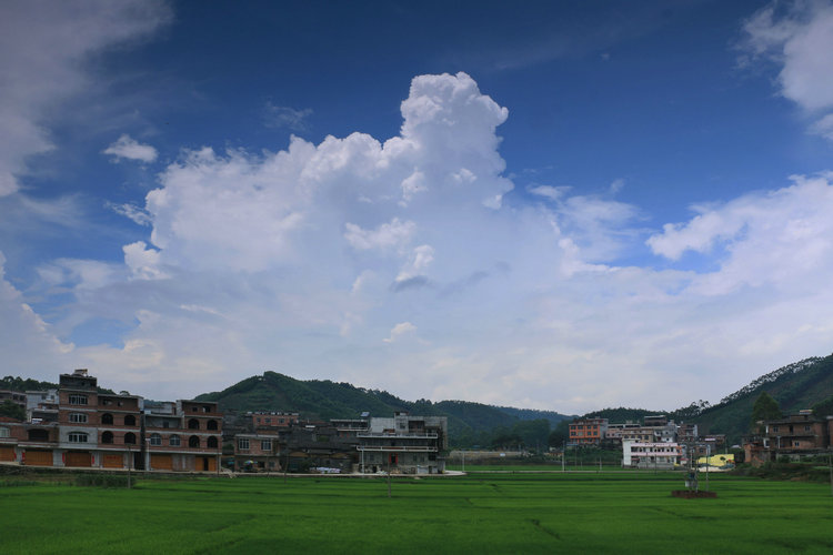 IMG_4918_副本.JPG