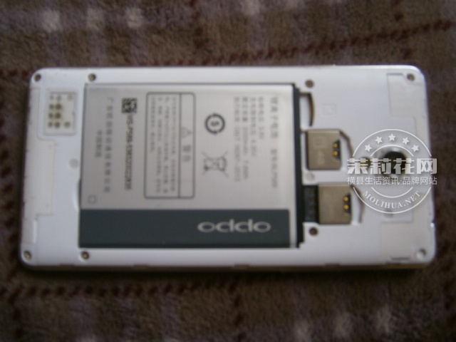 P1010182.JPG
