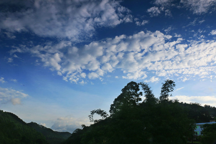 IMG_6361.jpg