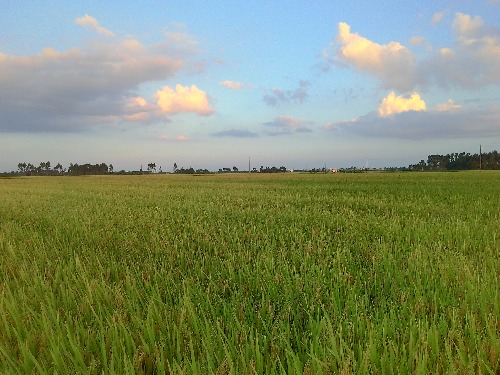 IMG_20160619_190758_HDR.jpg