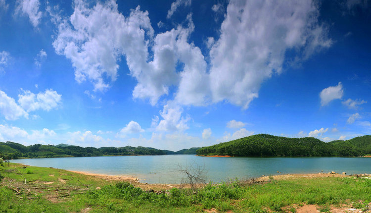 盐田全景图1_副本.jpg