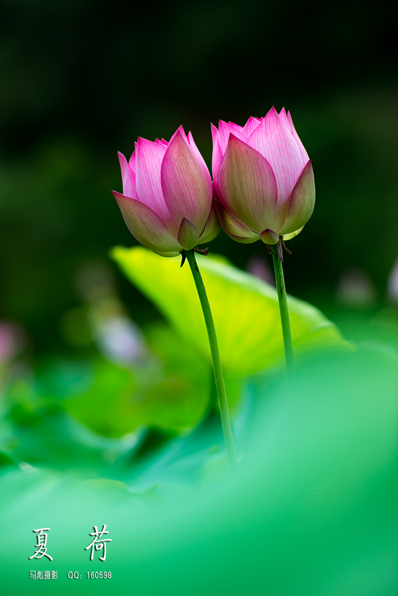 0-DSC_9884.jpg