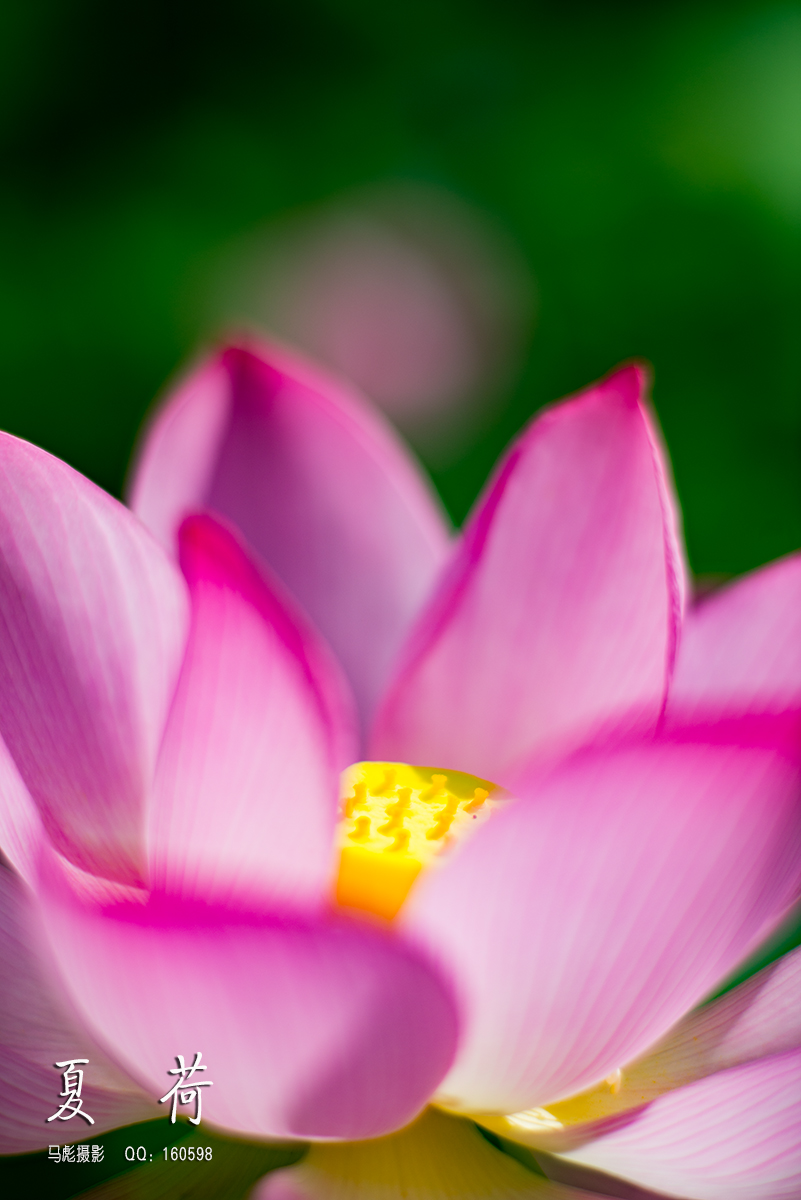 0-DSC_9925.jpg