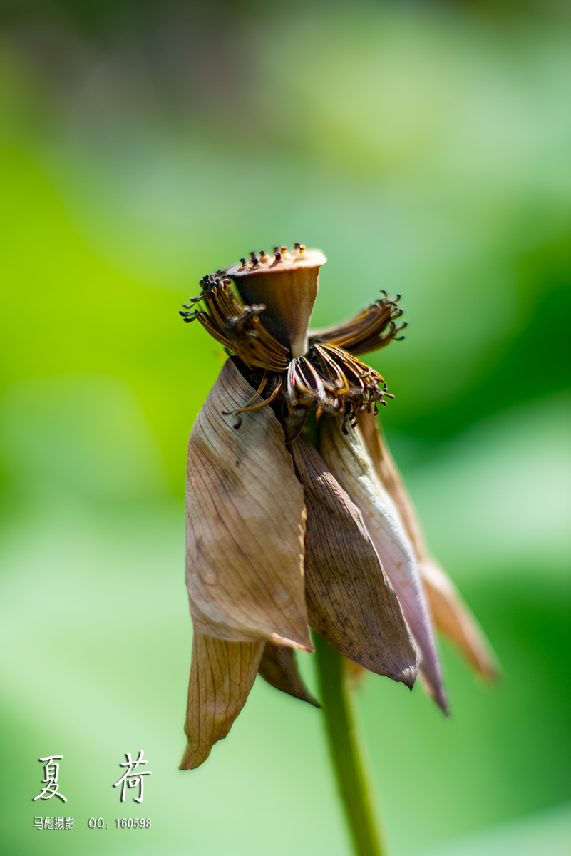 0-DSC_9937.jpg