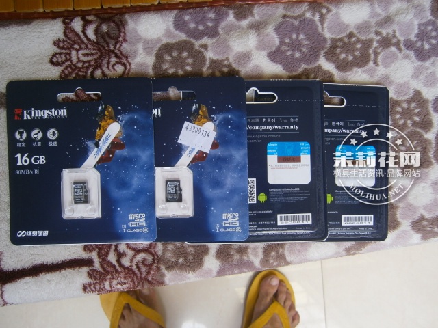 P1010213.JPG