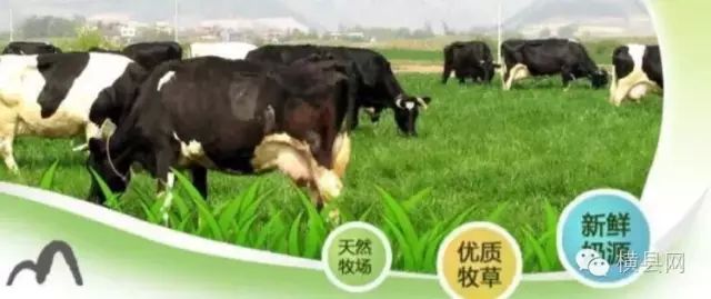 640 (10)_结果.jpg