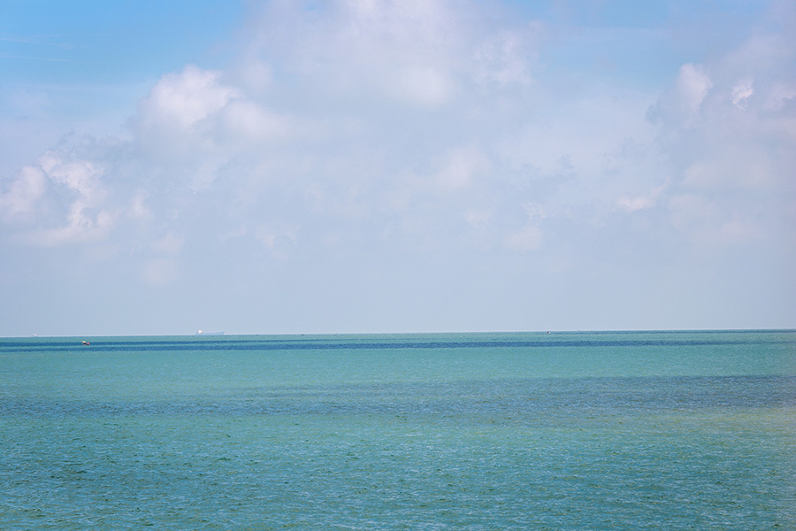 IMG_2267.jpg