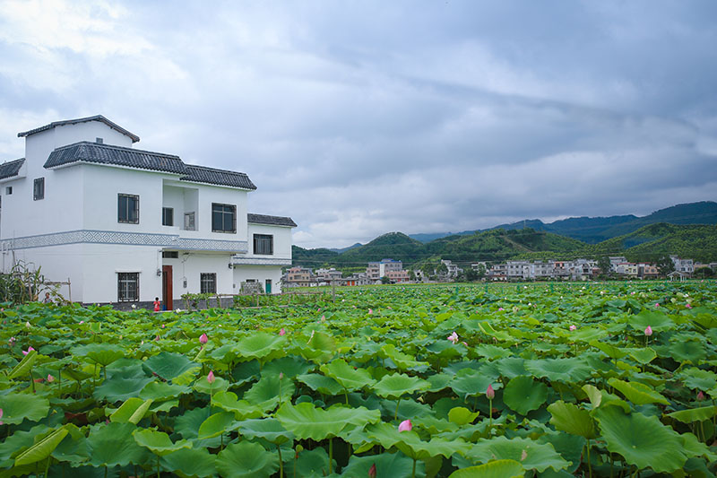IMG_2032副本.jpg