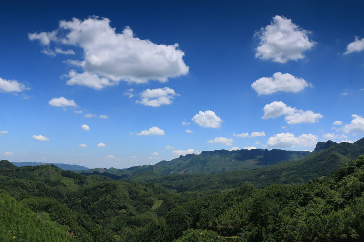 IMG_6459.JPG
