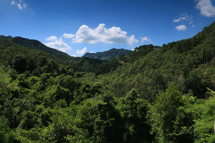 IMG_6545.JPG
