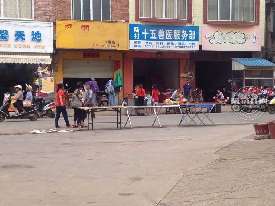 QQ图片20160811160158.jpg