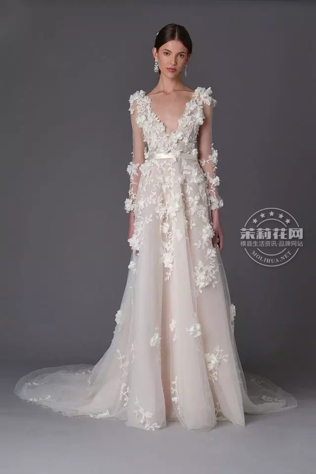 640.webp (6).jpg