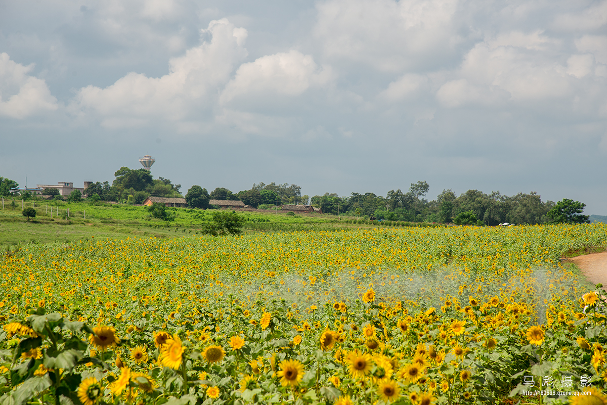 0DSC_6746.jpg