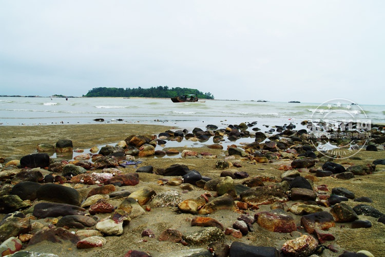 2010792334986640.jpg
