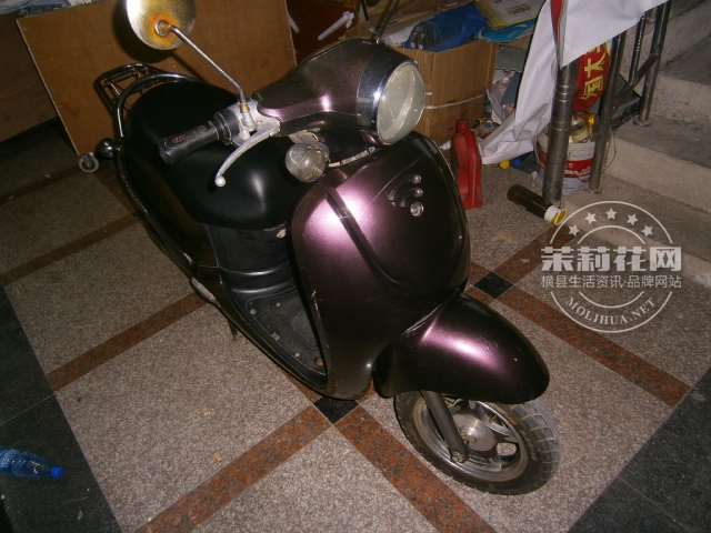 P1010224.JPG