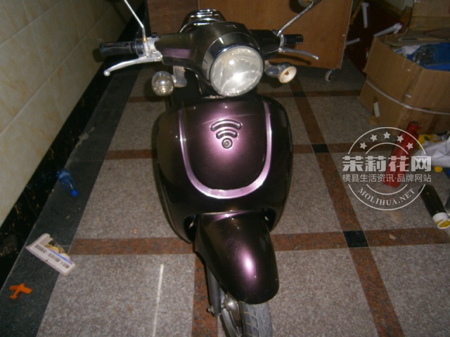 P1010227.JPG