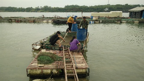 IMG20161029110455.jpg