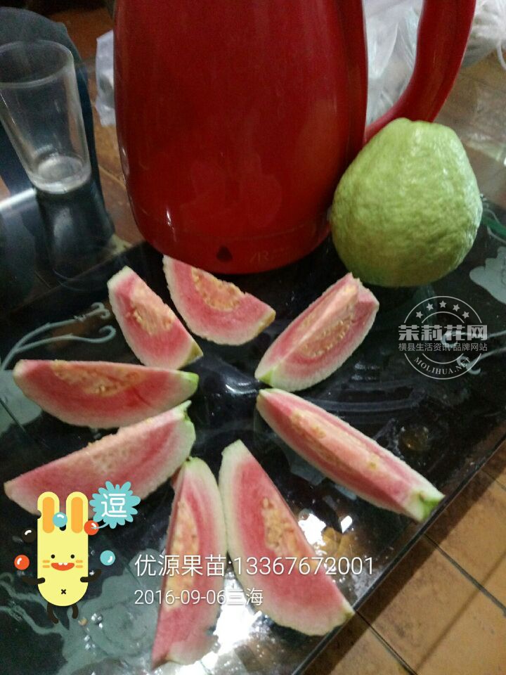 QQ图片20161019211355.jpg