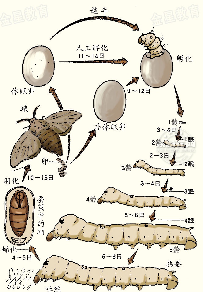 20130802093828922.jpg