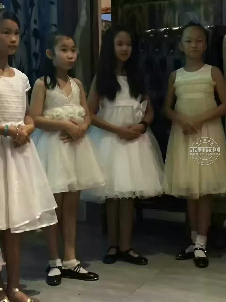 253511536991840778.jpg