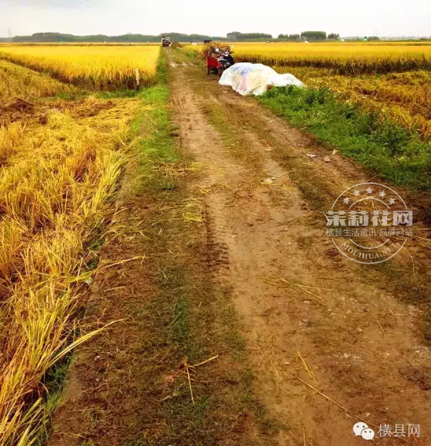 微信截图_20161114090134.png