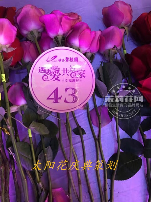 QQ图片20161123114543.jpg