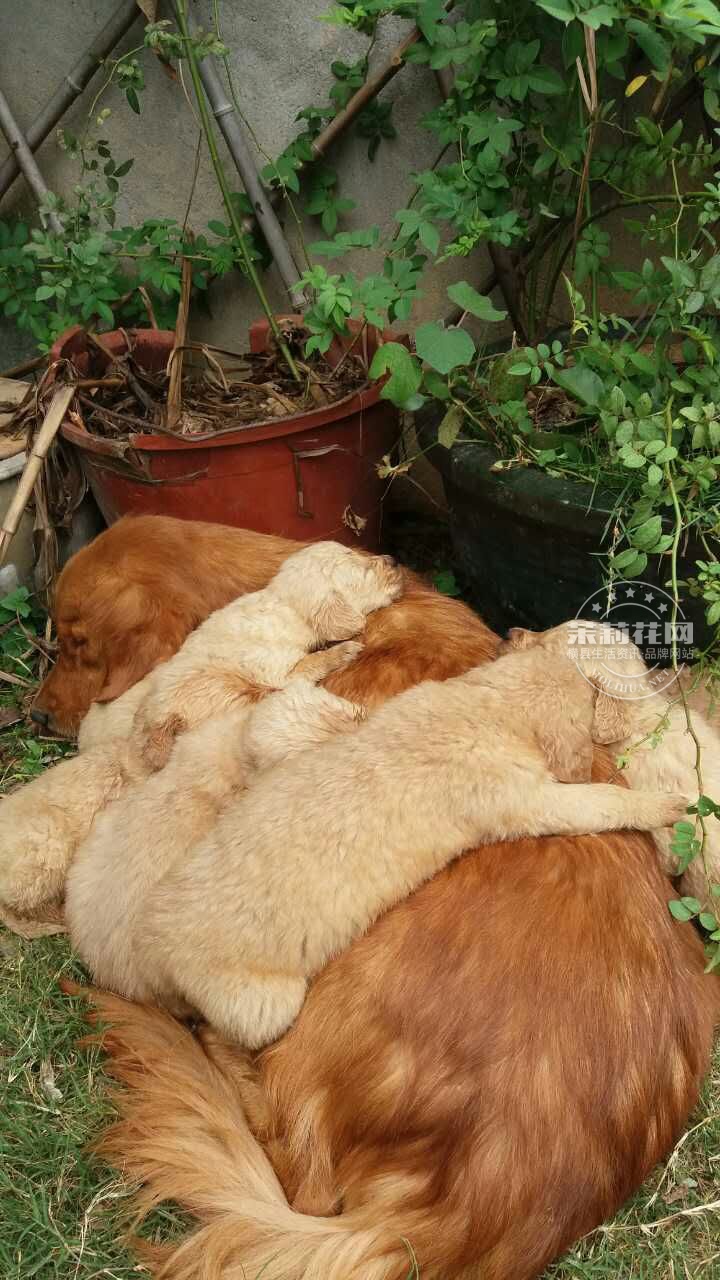 QQ图片20161225111721.jpg
