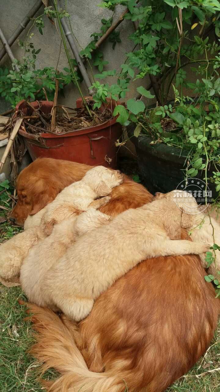 QQ图片20020102011205.jpg