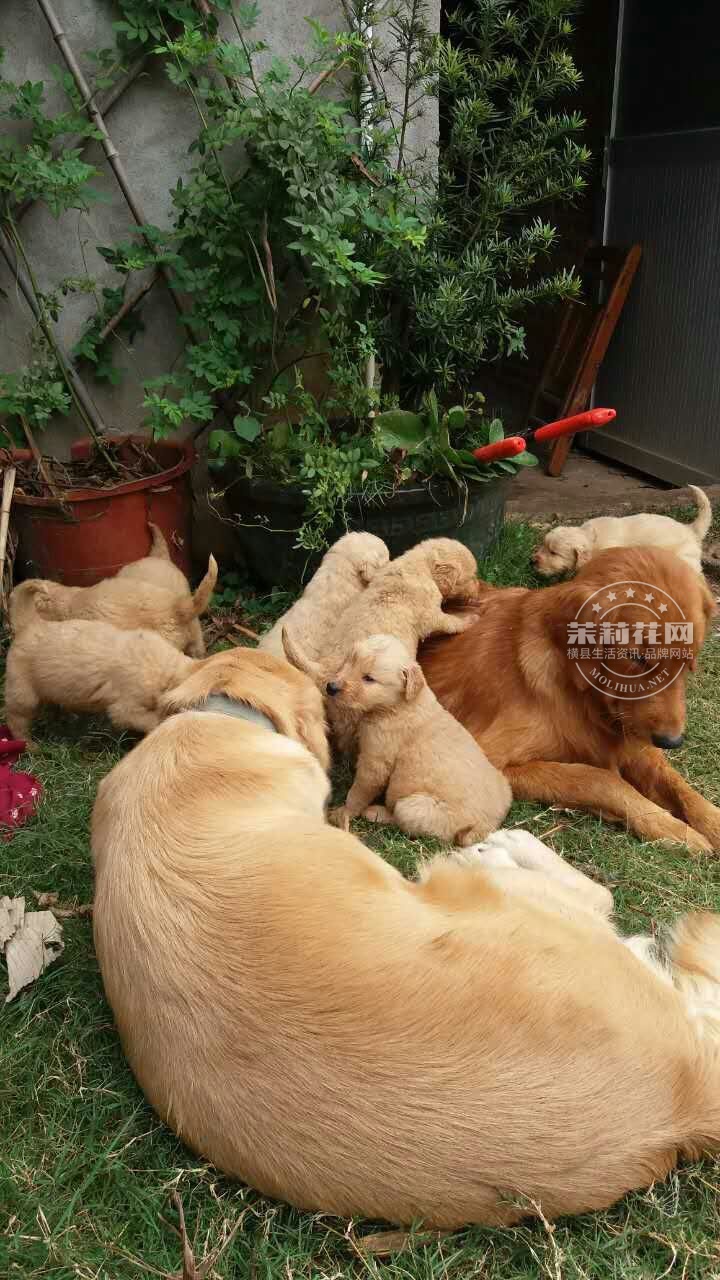 QQ图片20020102011224.jpg