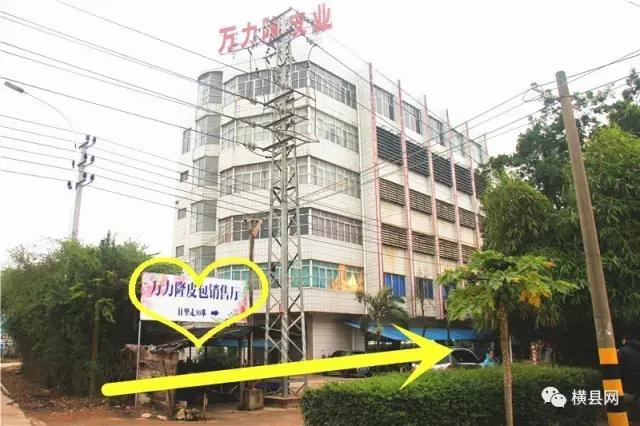 19.jpg