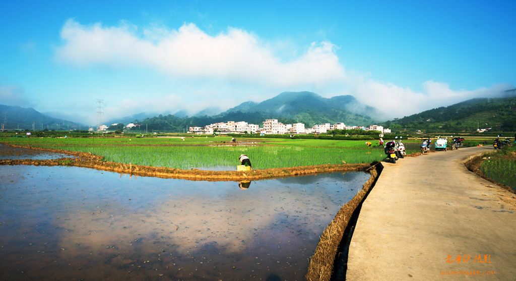 醉美香水村DSC02410.jpg