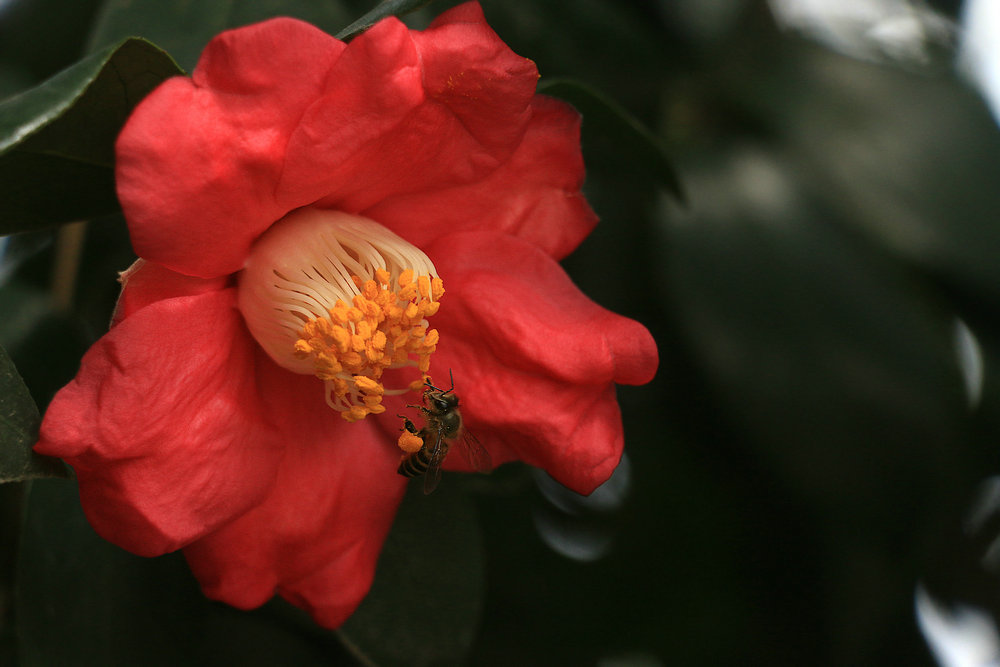 IMG_7820_副本.JPG