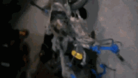 0.gif