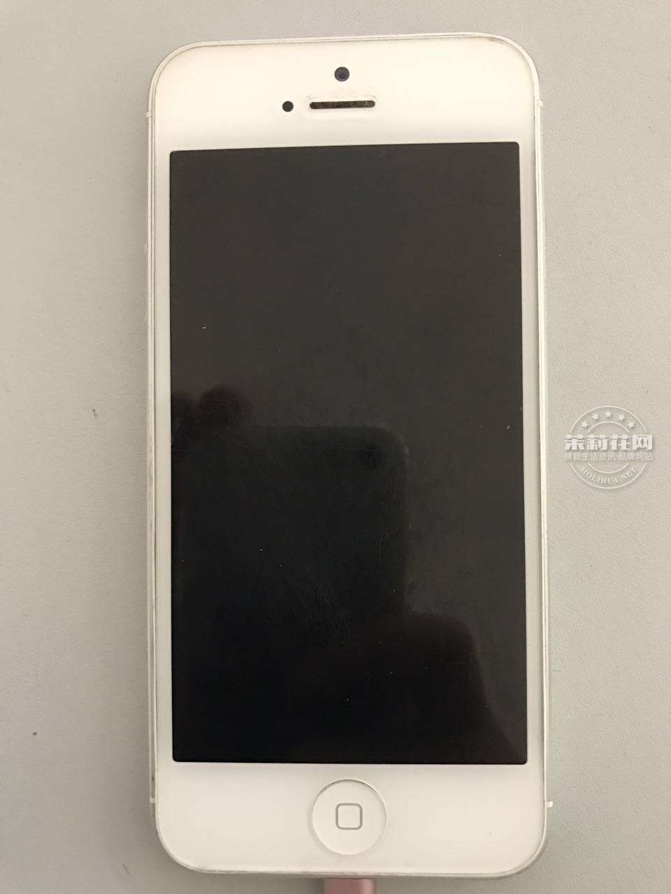 117481747018528747.jpg
