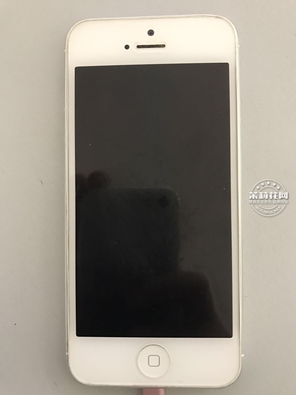 117481747018528747.jpg