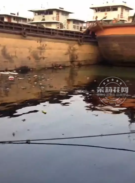 微信截图_20170220091843.png